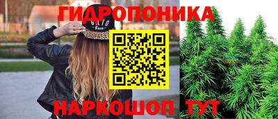 spice Владикавказ